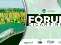 Fórum da cigarrinha
