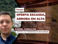 Gabriel Gonsalves - Sócio e Co-Fundador da Pecuarizze