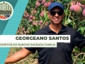 Georgeano Santos site