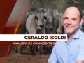 Geraldo Isoldi - Analista de Commodities