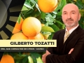 Gilberto Tozatti - Eng. Agr. Consultor em Citros - GCONCI