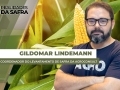 Gildomar Lindemann - Coordenador do Levantamento de Safra da Agroconsult