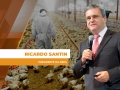 Ricardo Santin - Presidente da ABPA