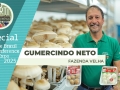 Gumercindo Ferreira Pinto Neto - Fazenda Velha