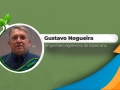 Entrevista com Gustavo Nogueira - Engenheiro agrônomo da Copercana