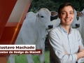 Gustavo Machado - Gestor de Hedge da StoneX