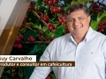 Guy Carvalho - Produtor e consultor em cafeicultura