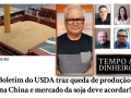 Boletim do USDA traz queda de produção na China e mercado da soja deve acordar!