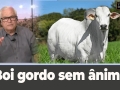 Tempo e dinheiro
