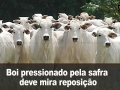 Tempo e dinheiro