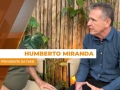 Humberto Miranda