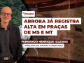 Fernando Henrique Iglesias - Analista da Safras & Mercado