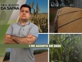 Realidades da Safra - Notícias Agrícolas