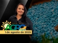 Bom Dia Agro - Com Carla Mendes