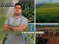 Realidades da Safra - Notícias Agrícolas