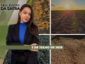 Realidades da Safra - Notícias Agrícolas