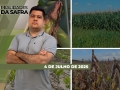 Realidades da Safra - Notícias Agrícolas