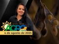 Bom Dia Agro - Com Carla Mendes