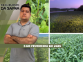 Realidades da Safra - Notícias Agrícolas
