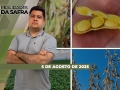 Realidades da Safra - Notícias Agrícolas