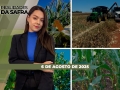 Realidades da Safra - Notícias Agrícolas