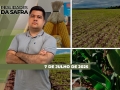 Realidades da Safra - Notícias Agrícolas