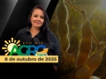 Bom Dia Agro - Com Carla Mendes