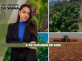 Realidades da Safra - Notícias Agrícolas