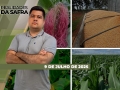 Realidades da Safra - Notícias Agrícolas