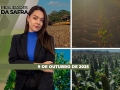 Realidades da Safra - Notícias Agrícolas
