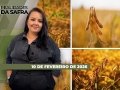 Realidades da Safra - Notícias Agrícolas