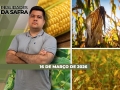 Realidades da Safra - Notícias Agrícolas