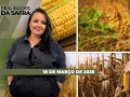 Realidades da Safra - Notícias Agrícolas