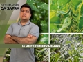 Realidades da Safra - Notícias Agrícolas