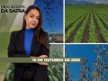 Realidades da Safra - Notícias Agrícolas