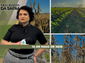 Realidades da Safra - Notícias Agrícolas