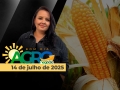 Bom Dia Agro - Com Carla Mendes