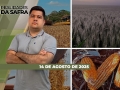 Realidades da Safra - Notícias Agrícolas