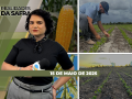 Realidades da Safra - Notícias Agrícolas