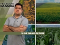 Realidades da Safra - Notícias Agrícolas