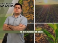 Realidades da Safra - Notícias Agrícolas