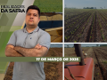 Realidades da Safra - Notícias Agrícolas