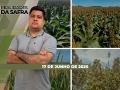 Realidades da Safra - Notícias Agrícolas