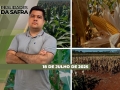 Realidades da Safra - Notícias Agrícolas