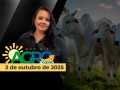 Bom Dia Agro - Com Carla Mendes