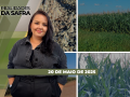 Realidades da Safra - Notícias Agrícolas