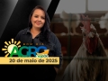 Bom Dia Agro - Com Carla Mendes