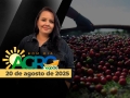 Bom Dia Agro - Com Carla Mendes