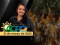 Bom Dia Agro - Com Carla Mendes