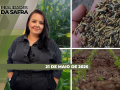 Realidades da Safra - Notícias Agrícolas
